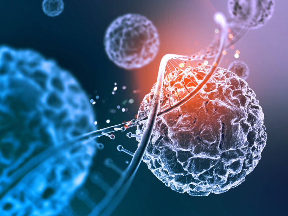 Painel para infecções fúngicas ou bacterianas e suas resistências